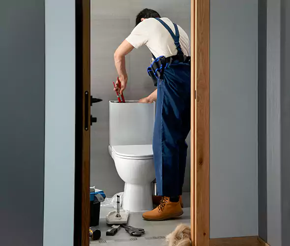 Professional Plumbers for Toilet Bowl Replacement in Santa Cruz, CA: Schedule Affordable Toilet Replacement Services With Us